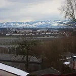Vogt