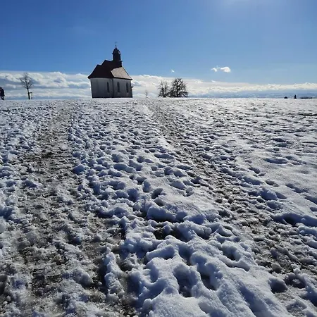 Vogt * Friedrichshafen