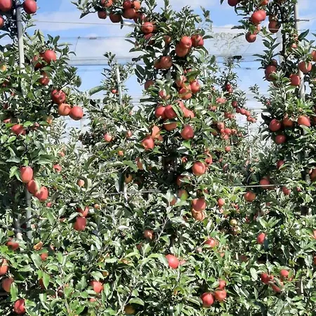 Appartamento Vogt Friedrichshafen