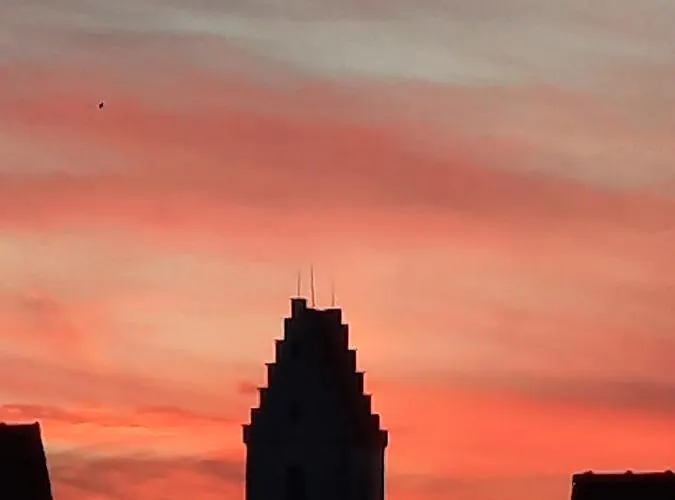 Vogt Friedrichshafen