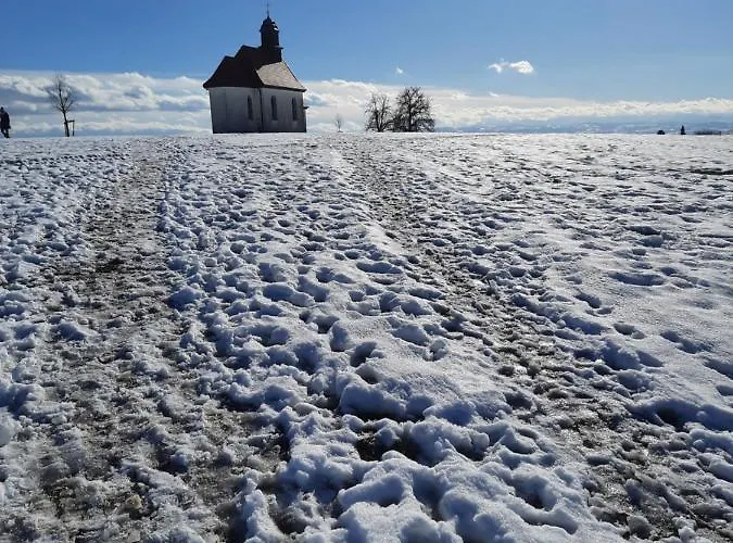 Vogt * Friedrichshafen