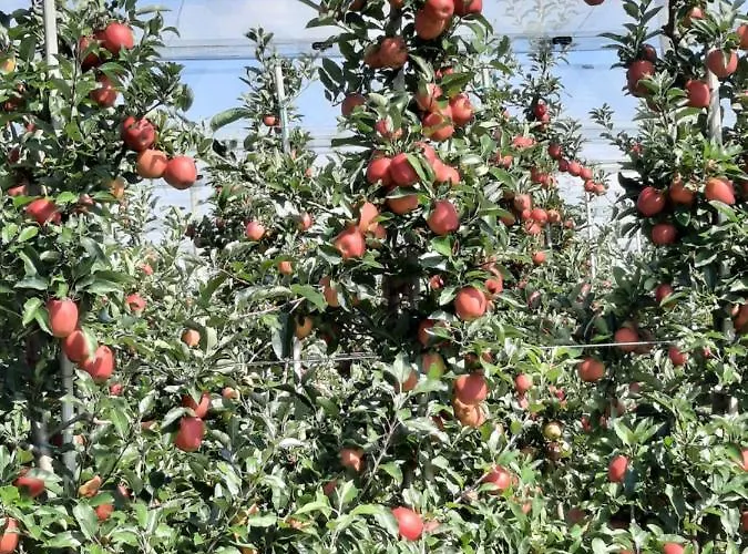 Apartamento Vogt Friedrichshafen